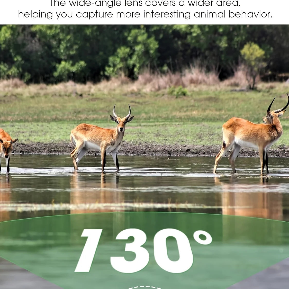 Hunting Trail Camera 16MP 1080P 940nm Infrared Night Vision Motion Activated Trigger Security Cam Outdoor Wildlife Photo Traps